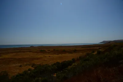 DSC_2497 (Large).JPG